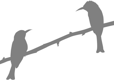 Two Birds on Branch Silhouette | Free vector silhouettes