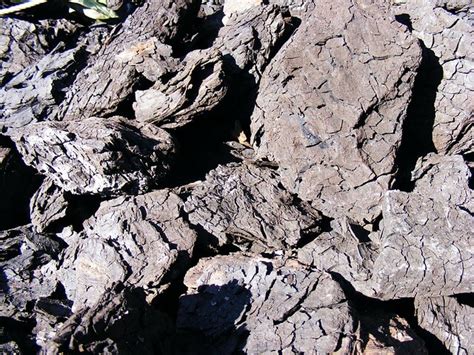 Types Of Coal   Peat, Lignite, Bituminous, Anthracite and Graphite ...