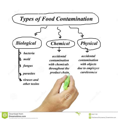 Types Of Food Contamination Image For Use In Manufacturing ...