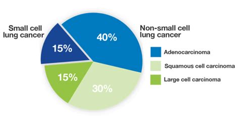 Types of Lung Cancer | Lung Cancer Foundation of America