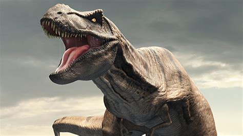 Tyrannosaurus | Paleontology World