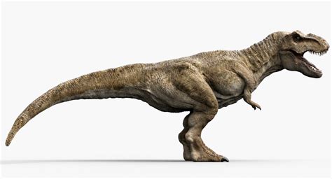 Tyrannosaurus Rex  Animado