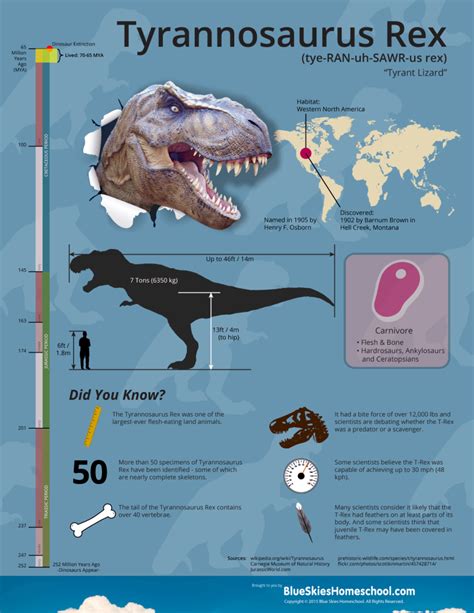 Tyrannosaurus Rex Dinosaur Fact Sheet & Infographic # ...