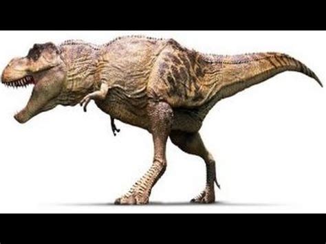 Tyrannosaurus Rex | Enciclopedia sobre Dinosaurios YouTube