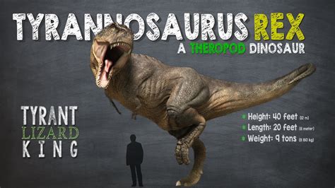 Tyrannosaurus Rex Facts! A Dinosaur Facts video about ...