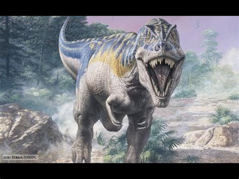 Tyrannosaurus rex facts   YouTube