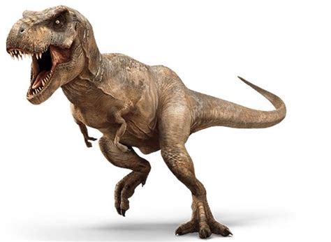 Tyrannosaurus rex in 2019 | Jurassic world dinosaurs ...