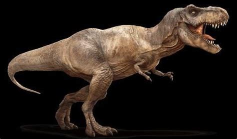 Tyrannosaurus Rex lived in forested river valleys in North America ...