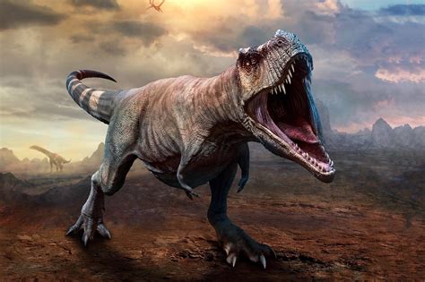 Tyrannosaurus rex Mystery Solved: How Dinosaurs Delivered Bone Crushing ...