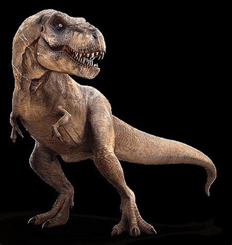 Tyrannosaurus Rex: Quick Facts | Dinosaur images, Dinosaur pictures ...