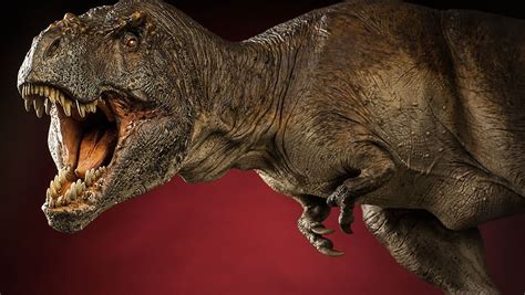 TYRANNOSAURUS REX | Sideshow Collectibles Dinosauria Unboxing   YouTube