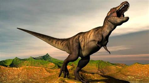 Tyrannosaurus rex  T.rex : el mayor destructor de la historia – Dinosaurios