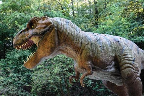 Tyrannosaurus Rex, Tiranosaurio o T Rex 【 EL REY 】 Información
