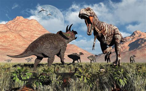 Tyrannosaurus Rex vs. Triceratops in a Dinosaur Fight