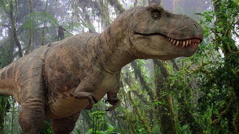 Tyrannosaurus Rex Was the Tyrant Lizard King | HowStuffWorks