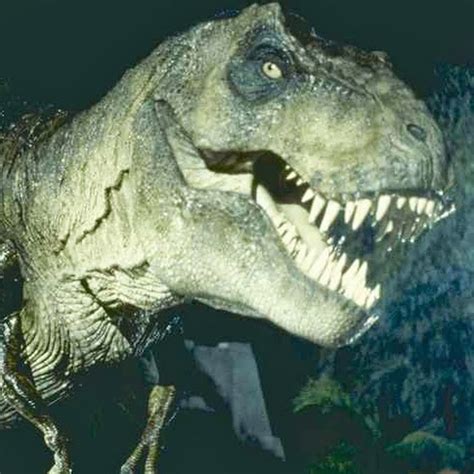 tyrannosaurus rex   YouTube