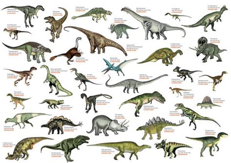 U.S. Dinosaur Challenge | Main Photo  Cover  … | DINOSAUR ...