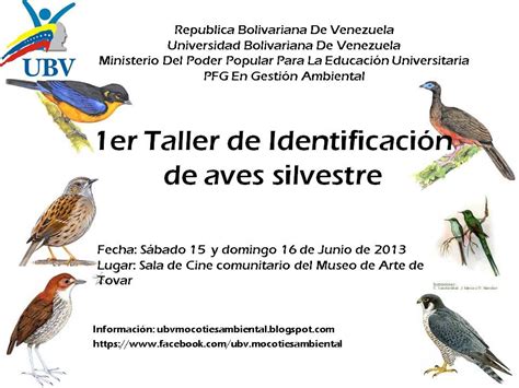 ubv mocoties : 1er Taller de Identificación de Aves Silvestres.