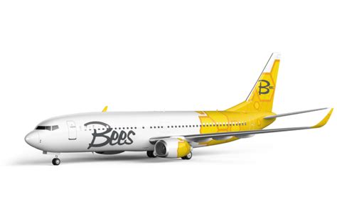 Ucrania: Bees Airlines, la nueva low cost