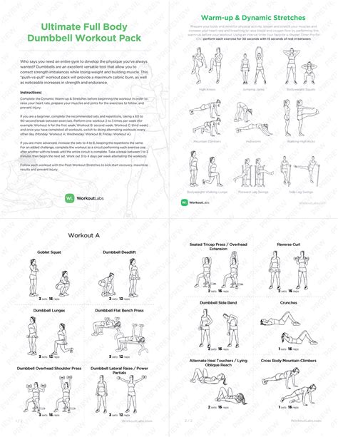 Ultimate Full Body Dumbbell Workout Pack for Men & Women