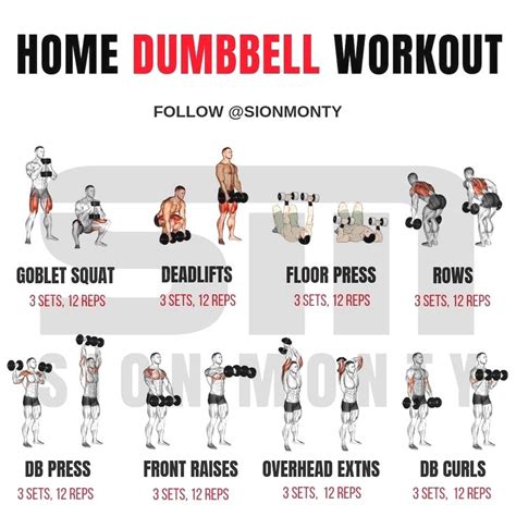 Ultimate Full Body Training Routine | Dumbbell workout at home, Full ...