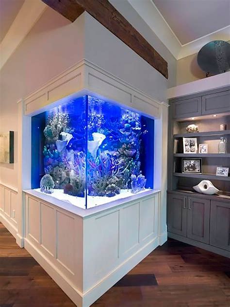 Un acuario en el salón | Corner aquarium, Aquarium design ...