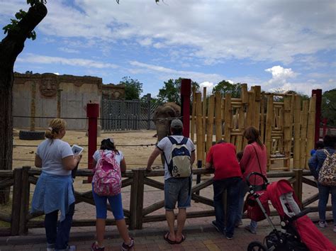 Un día con niños en el Zoo Acuario de Madrid