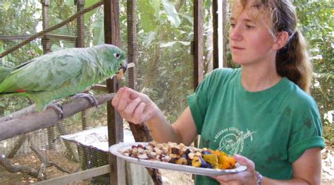 Un día en Nuestro Voluntariado en la Selva Amazónica | Projects Abroad