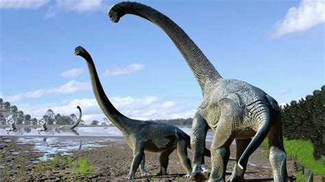 Un dinosaurio argentino podría convertirse en el ser terrestre más ...