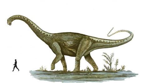 Un dinosaurio argentino se encuentra entre los cinco más grandes del ...