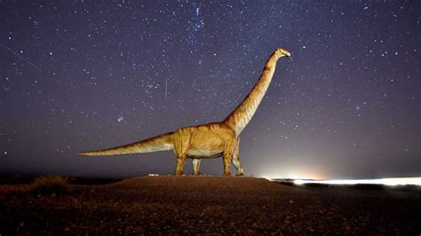 Un dinosaurio argentino sería el animal más grande del mundo · VIVO247.com
