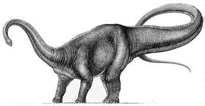 Un dinosaurio de cuello largo | Universo Animal