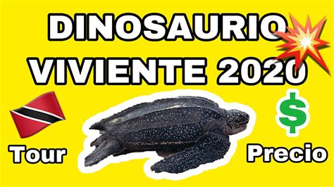 Un dinosaurio real en el año 2020/ Tortuga prehistórica ...