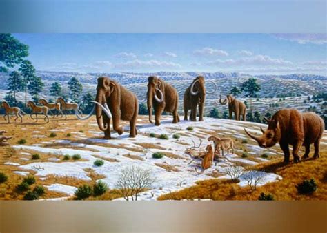 Un exceso de humedad motivó las extinciones masivas de la megafauna