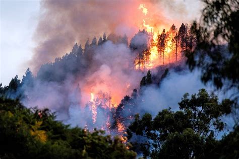Un incendio arrasa Gran Canaria y otros tres permanecen ...