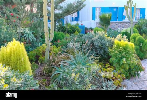 Un jardín privado con una gran variedad de especies de plantas ...