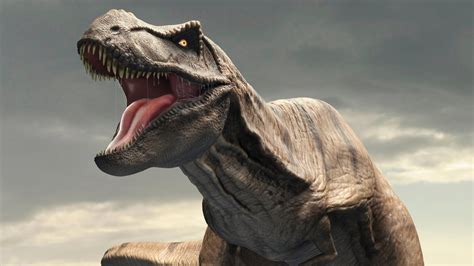 Un mito errado: el Tyrannosaurus rex no podía sacar la lengua | Tele 13
