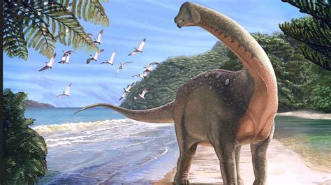Un nuevo dinosaurio egipcio resuelve el misterio de su ...