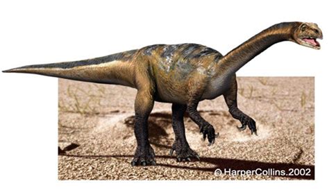 Un nuevo género de dinosaurios, descubierto por casualidad
