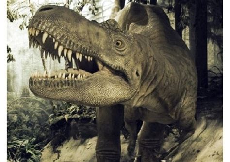 Un paseo entre Dinosaurios: Periodo Cretácico