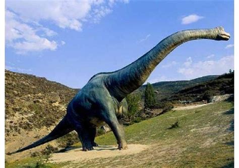 Un paseo entre Dinosaurios: Periodo Jurásico