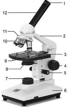 UN POCO DE HISTORIA El microscopio fue inventado por un ...