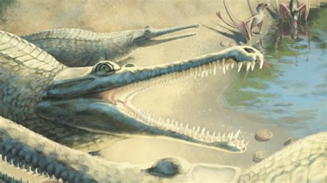 Un prehistórico cocodrilo es identificado 250 años después ...