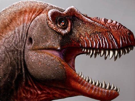 Un primo lejano del T Rex fue encontrado en Canadá ...