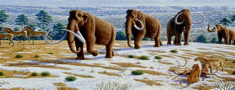 Un proyecto de desextinción estudia cómo traer de vuelta el mamut