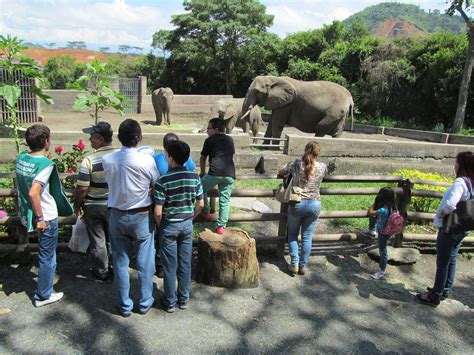 Un recorrido por el mundo animal en el zoo de Pereira