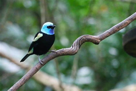 Un santuario para las aves en Colombia | Marca País