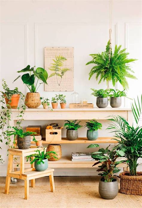 Un vergel | Indoor plant shelves, Plant stand indoor ...