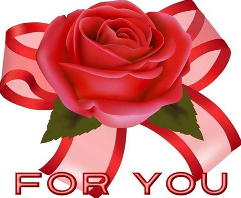 Una bella rosa for you   ∞ Sólo Imagenes de Amor ∞