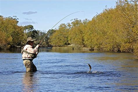 Uncategorized | Trout Fishing